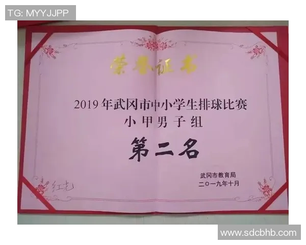 武汉排球队与南京排球队赛后心理素质分析与反思 武汉排球队与南京排球队赛后心理素质分析与反思