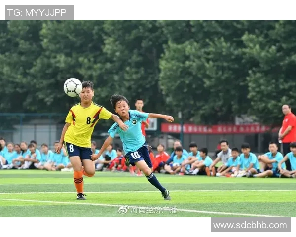 武汉足球队的崛起与发展探讨：力量背后的故事与未来展望