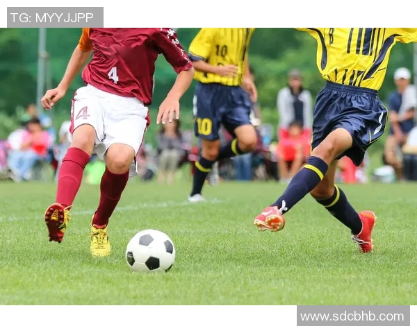 足球明星与球迷的热情瞬间汇聚成的精彩合集