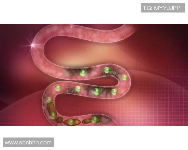 足球明星的饮食揭秘：从梅西到C罗的营养秘诀与健康饮食习惯