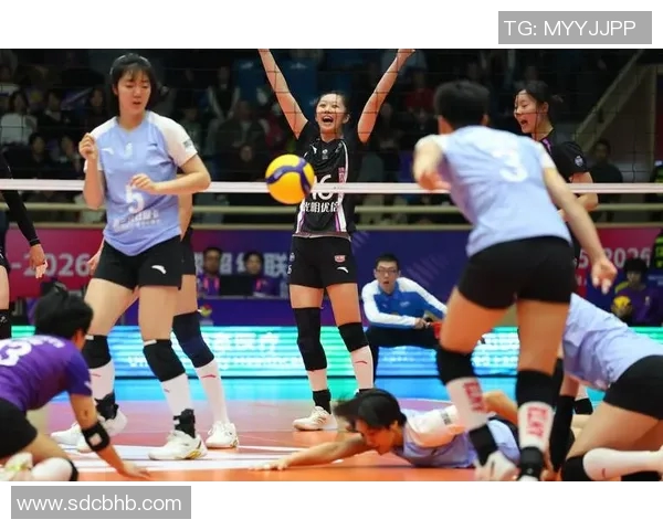 2023年排球个人能力排行榜揭晓上海排球队球员表现优异位居前列