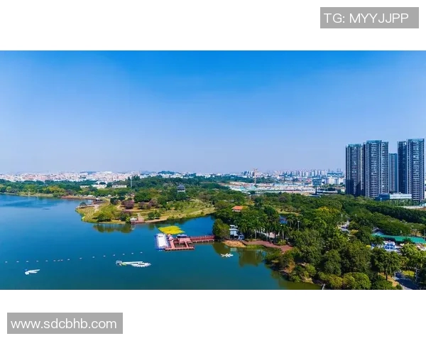 广州乒乓球队的成长之路与辉煌成就全景回顾与展望 广州乒乓球队的成长之路与辉煌成就全景回顾与展望