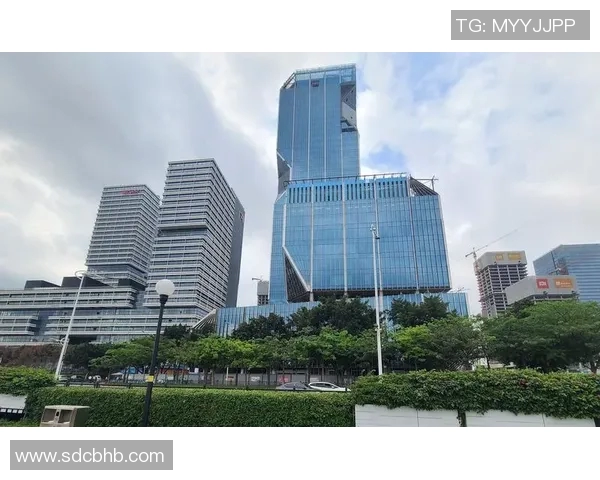 广州篮球队的崛起与发展探索聚焦球队力量与未来潜力