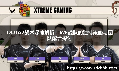 DOTA2战术深度解析：WE战队的独特策略与团队配合探讨