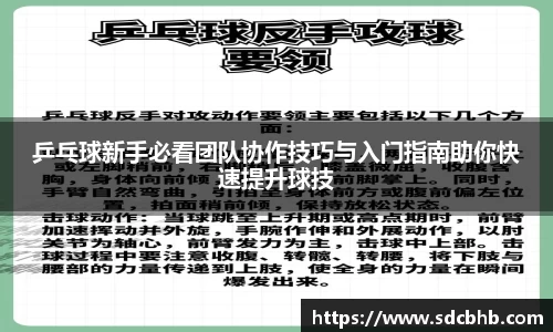 乒乓球新手必看团队协作技巧与入门指南助你快速提升球技