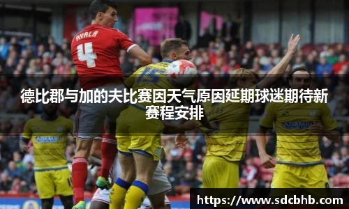 德比郡与加的夫比赛因天气原因延期球迷期待新赛程安排