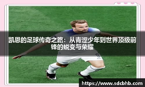 乐鱼体育平台