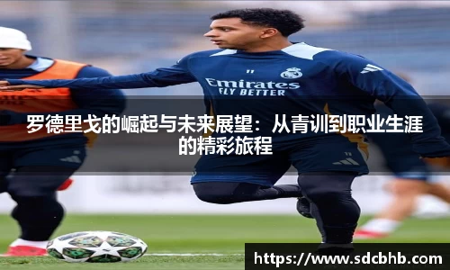 乐鱼体育APP