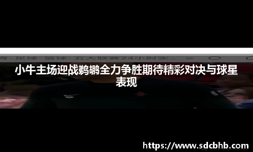 小牛主场迎战鹈鹕全力争胜期待精彩对决与球星表现