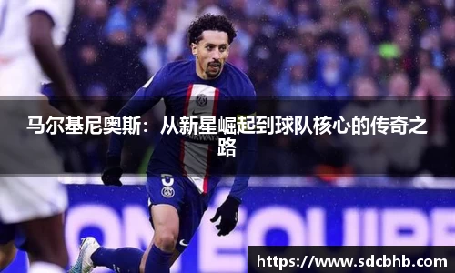 乐鱼体育APP