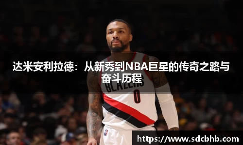 乐鱼体育官网
