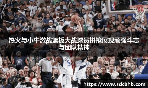 热火与小牛激战篮板大战球员拼抢展现顽强斗志与团队精神