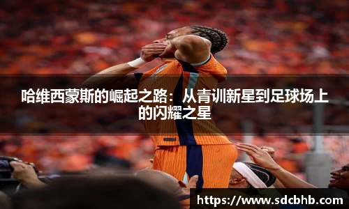 乐鱼体育